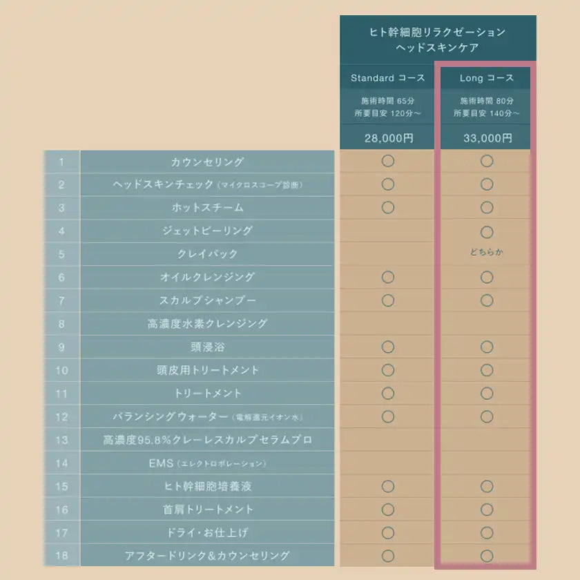 ヒト幹細胞リラクゼーションヘッドスキンケア ロングコース(所要目安140分〜/施術80分)