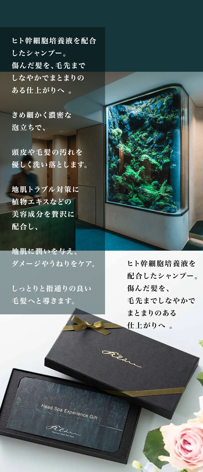 Product Vertical Image