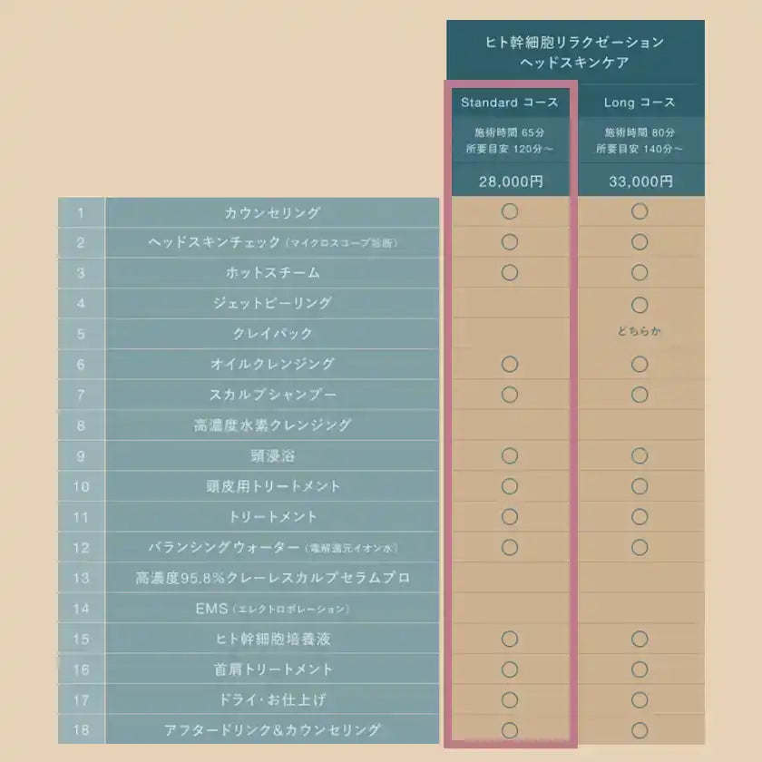 ヒト幹細胞リラクゼーションヘッドスキンケア　スタンダードコース（所要目安120分〜／施術65分）イメージ7